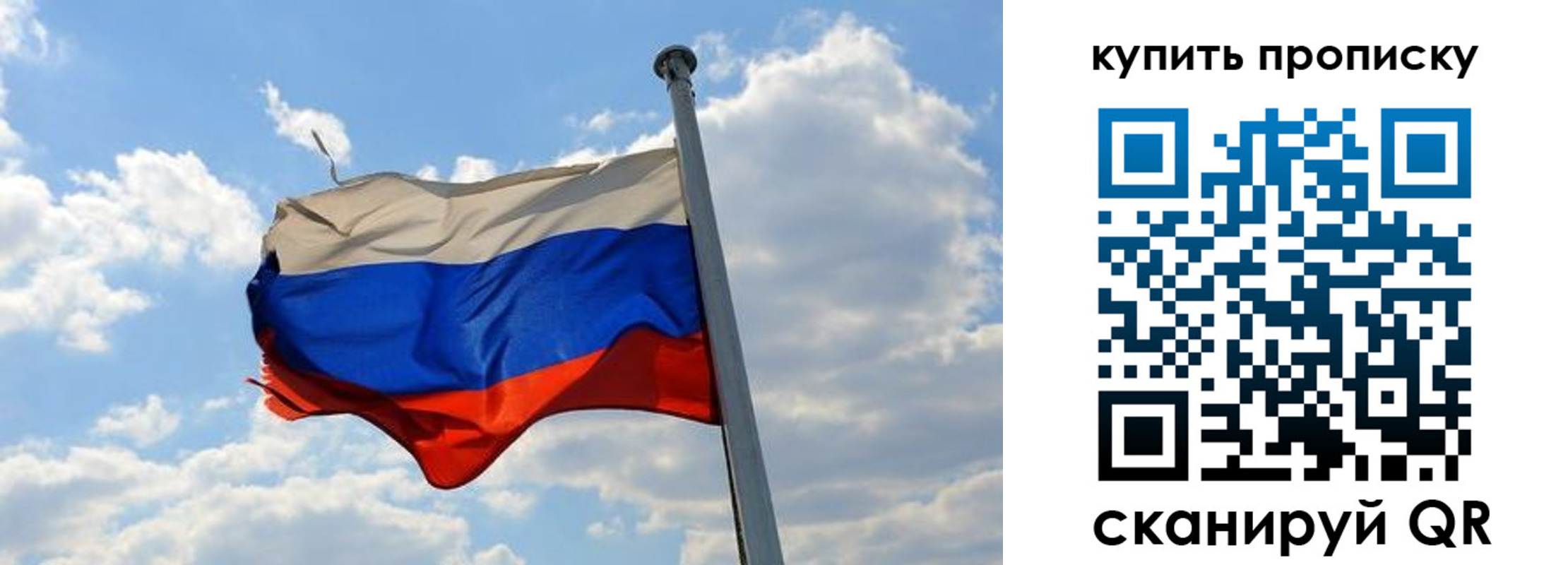 временная прописка в Новодвинске